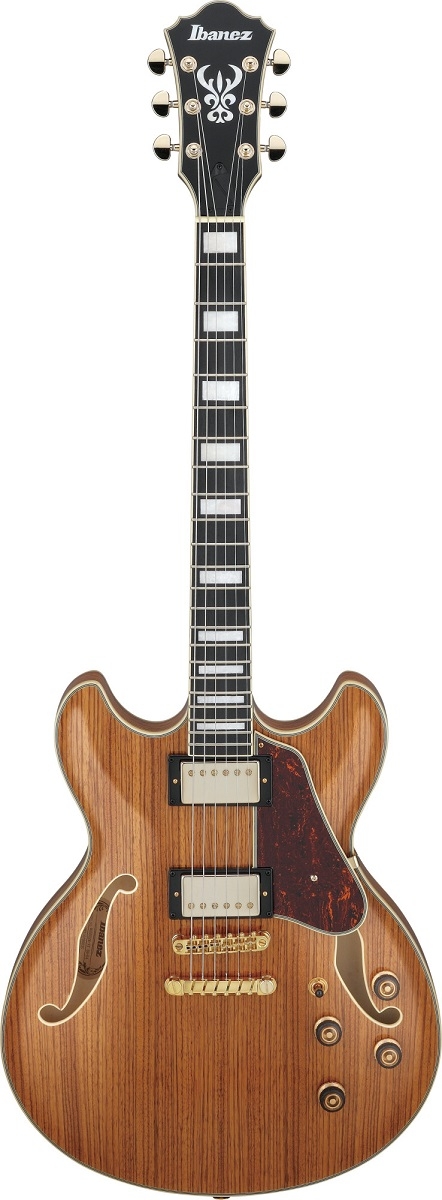 Ibanez AS93ZW NT