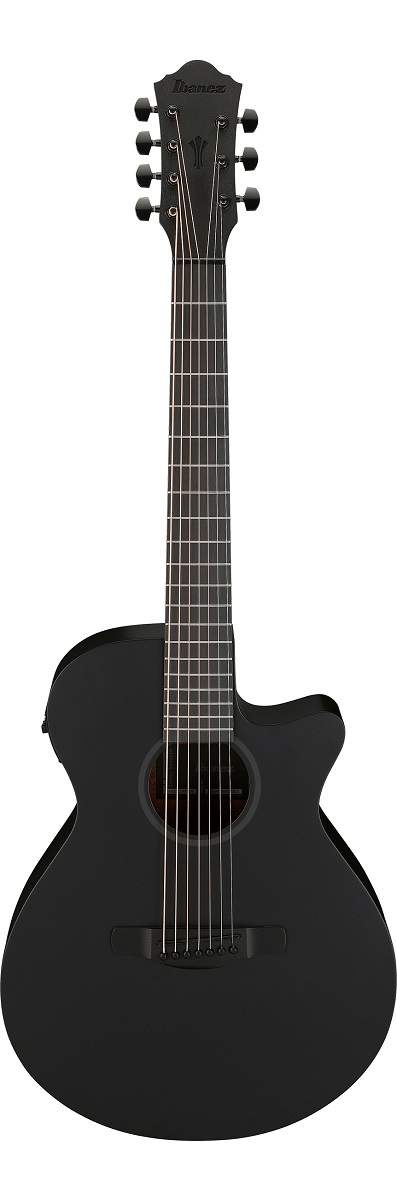 Ibanez AEG721 7-String Black Out