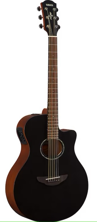 Yamaha APX 600M SMB