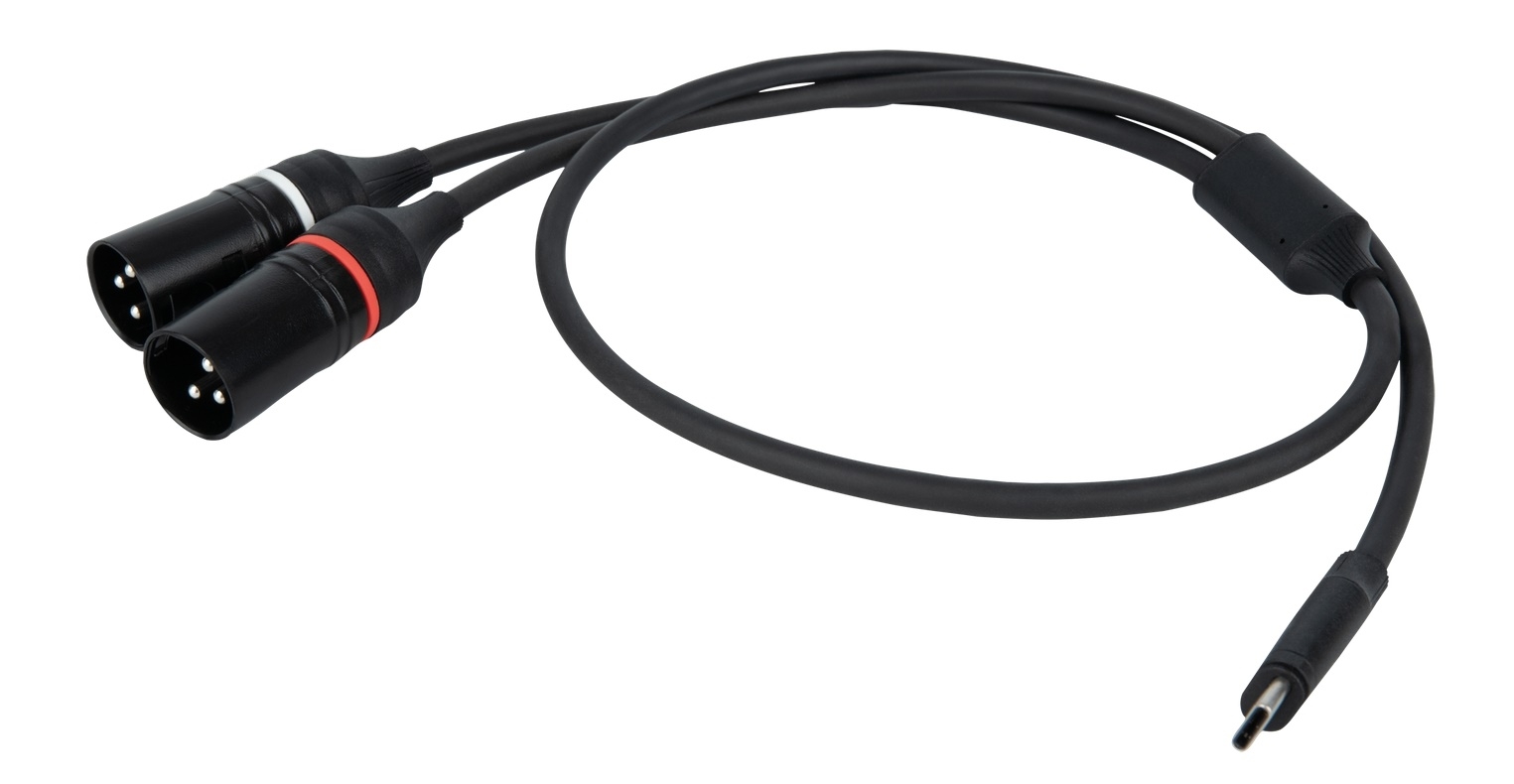 DAP FL112 - USB-C auf 2 XLR/M 3P - 1,5m