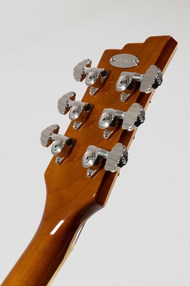 Duesenberg Starplayer TV LTD Catalina Green