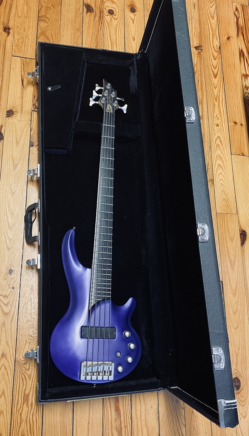 Cort Curbow Bass 5-String -gebraucht-