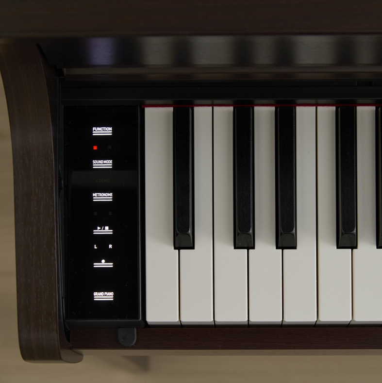 Casio AP-300 BN