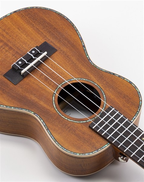 Volt Ukulele Valencia Tenor EQ