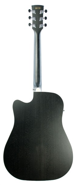 Ibanez AW84CE WK