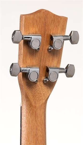 Volt Ukulele Zebrano Concerto