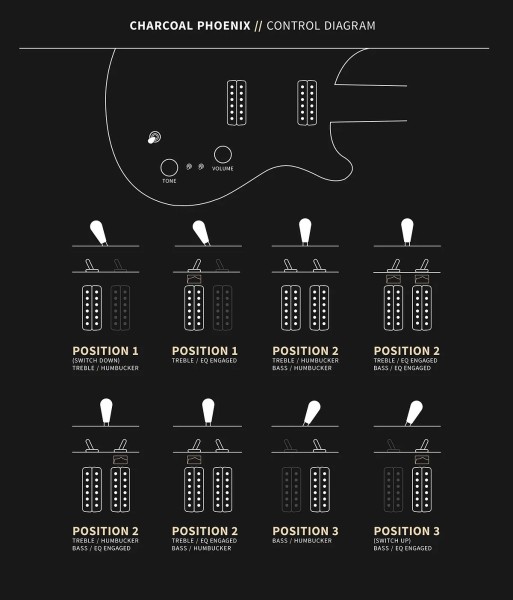 PRS Private Stock Phoenix Ltd Charcoal