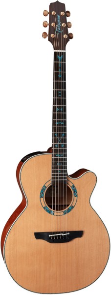 Takamine Limited 2023 Santa Fe 30th Anniversary -Black Week Deal-