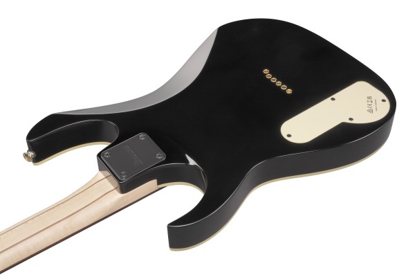 Ibanez PGM50 Paul Gilbert Signature Guitar Black