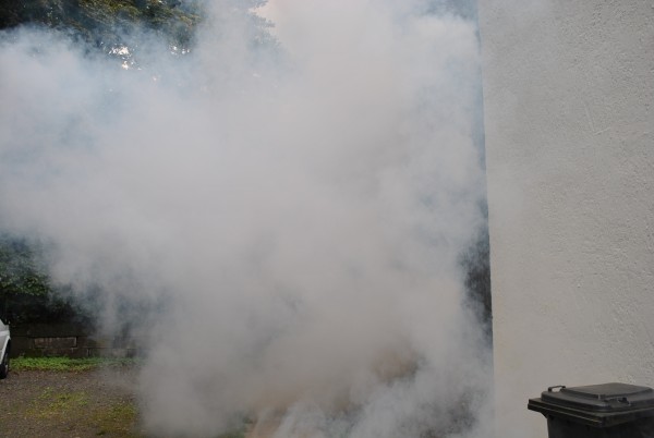 Smoke Factory Spaceball II - Mietgerät