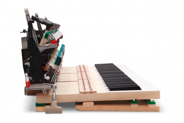 Kawai Novus NV-5S - Demoinstrument aus unserer Ausstellung