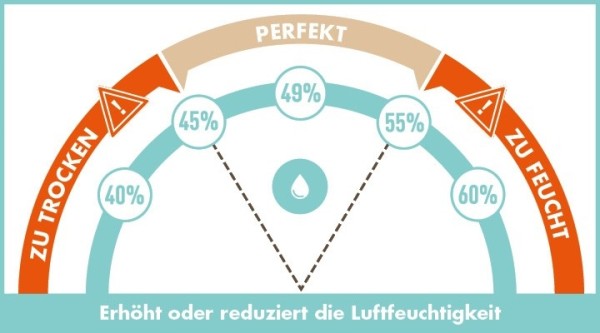 BOVEDA Luftfeuchtigkeitsmanagement Starterkit Small