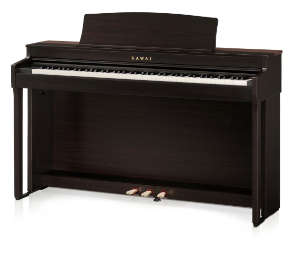 Kawai CN 301 R