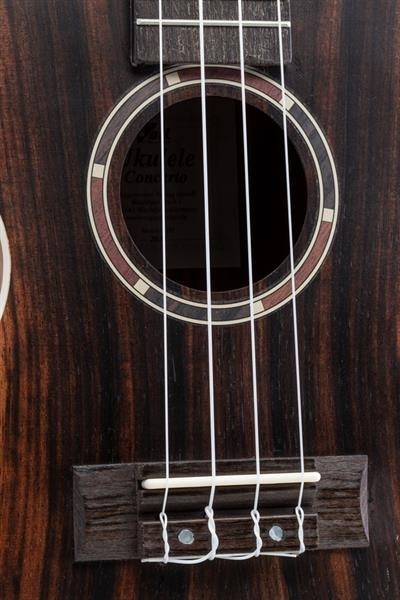 Volt Ukulele Zebrano Concerto