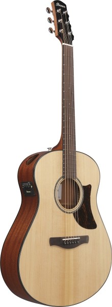 Ibanez AAM100E NT