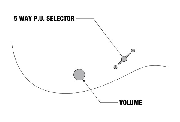 Ibanez PGM50 Paul Gilbert Signature Guitar Black