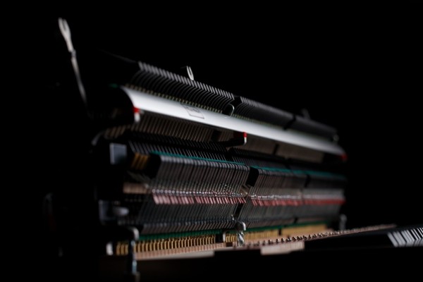 Kawai Novus NV-5S - Demoinstrument aus unserer Ausstellung