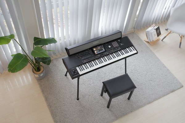 Korg PaAS MK2 Amplification System