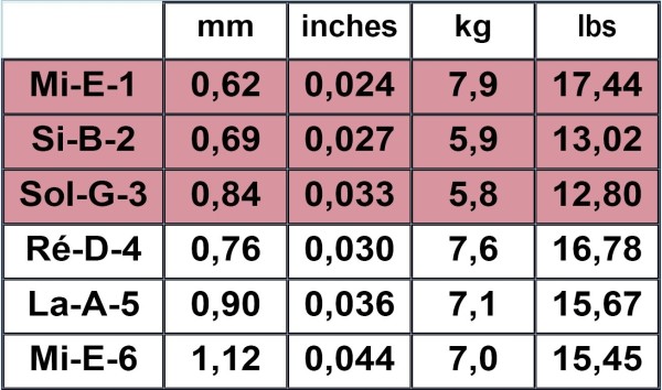 Savarez 510 ARJ Alliance Cantiga