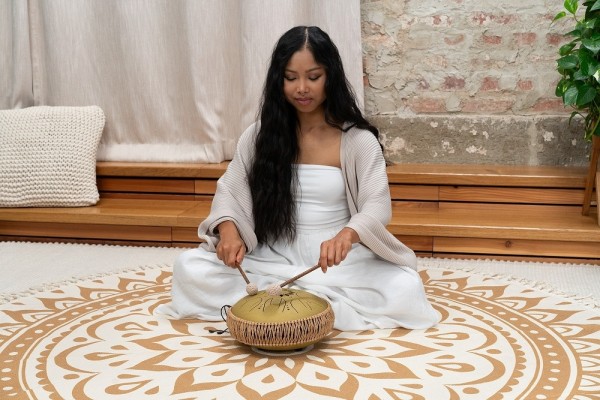 Meinl Sonic Energy Medium Octave Steel Tongue Drum Gold C Dur