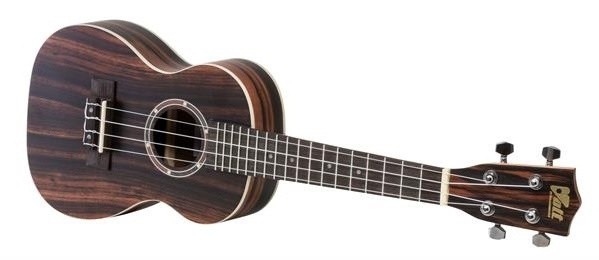 Volt Ukulele Zebrano Concerto