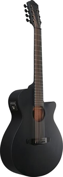 Ibanez AEG721 7-String Black Out