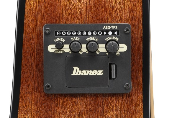 Ibanez AAM100E NT