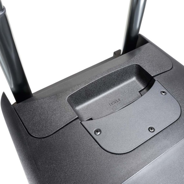 LD Systems ROADBUDDY 10 BPH 2