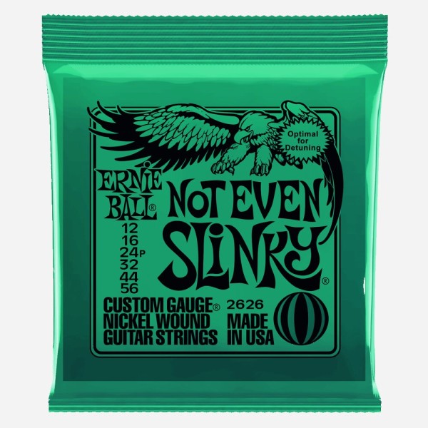 Ernie Ball Not Even Slinky